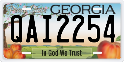 GA license plate QAI2254