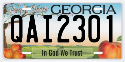 GA license plate QAI2301
