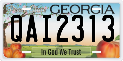 GA license plate QAI2313