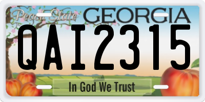 GA license plate QAI2315