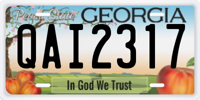 GA license plate QAI2317