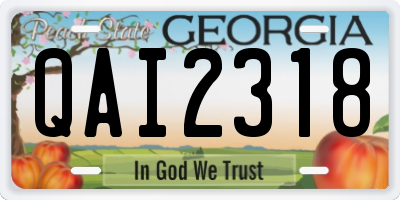 GA license plate QAI2318