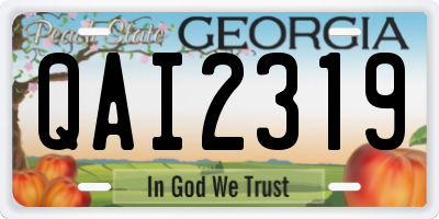 GA license plate QAI2319