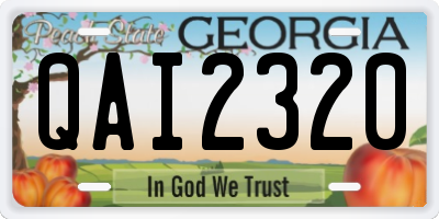 GA license plate QAI2320