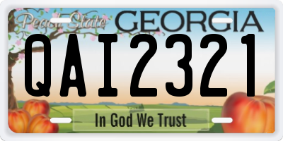 GA license plate QAI2321