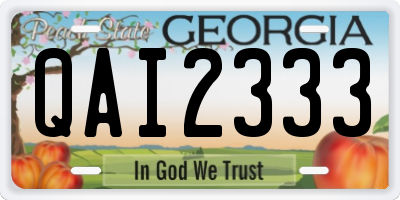 GA license plate QAI2333