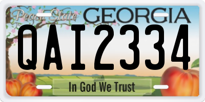GA license plate QAI2334