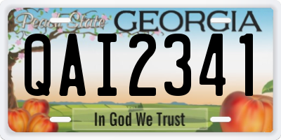GA license plate QAI2341