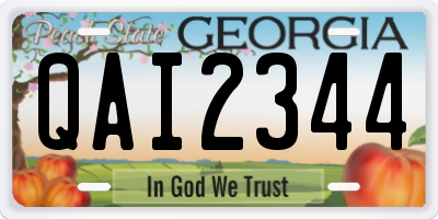 GA license plate QAI2344