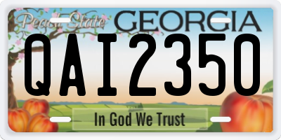 GA license plate QAI2350