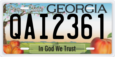 GA license plate QAI2361