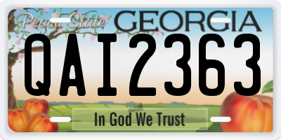 GA license plate QAI2363