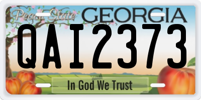 GA license plate QAI2373