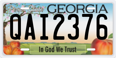 GA license plate QAI2376