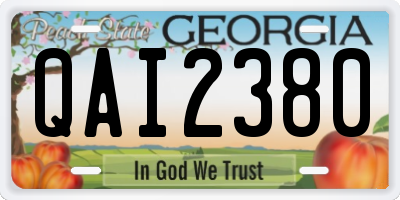 GA license plate QAI2380