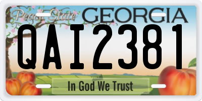 GA license plate QAI2381