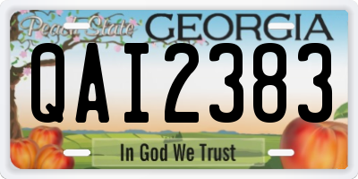 GA license plate QAI2383