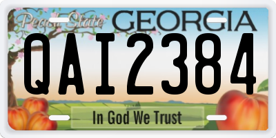 GA license plate QAI2384