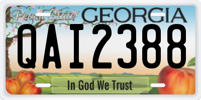 GA license plate QAI2388