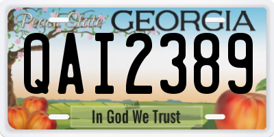 GA license plate QAI2389