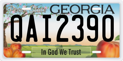 GA license plate QAI2390