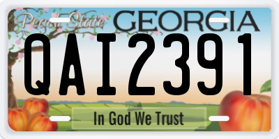 GA license plate QAI2391