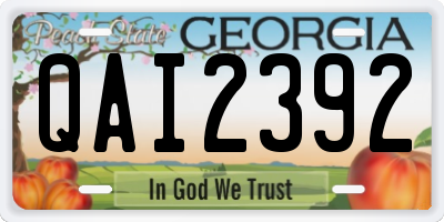 GA license plate QAI2392