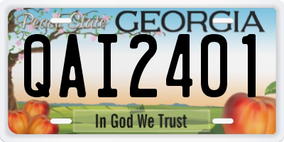 GA license plate QAI2401