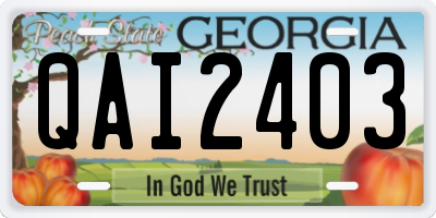 GA license plate QAI2403