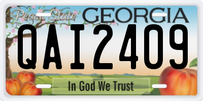GA license plate QAI2409