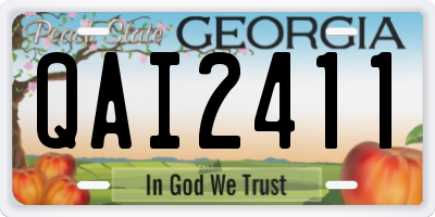 GA license plate QAI2411