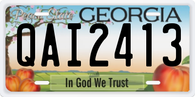 GA license plate QAI2413