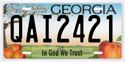 GA license plate QAI2421