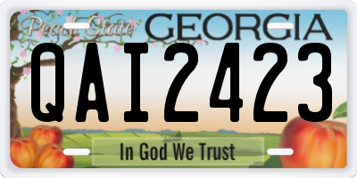 GA license plate QAI2423