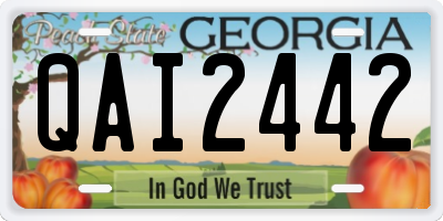 GA license plate QAI2442