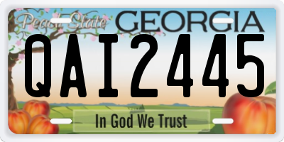 GA license plate QAI2445