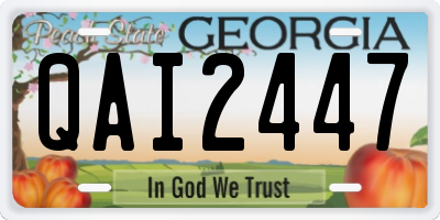 GA license plate QAI2447