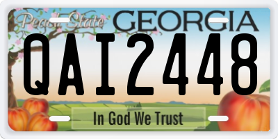 GA license plate QAI2448