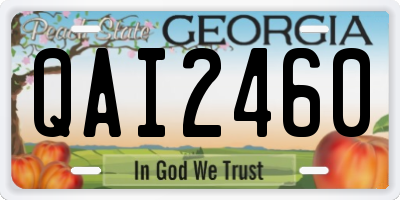 GA license plate QAI2460
