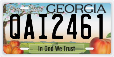 GA license plate QAI2461