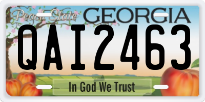 GA license plate QAI2463