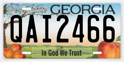 GA license plate QAI2466