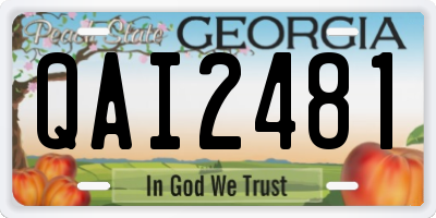 GA license plate QAI2481