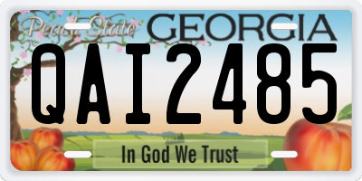 GA license plate QAI2485