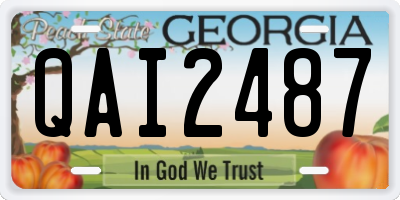 GA license plate QAI2487