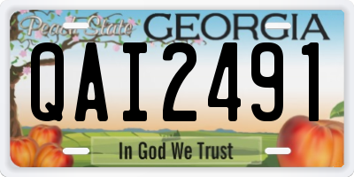 GA license plate QAI2491