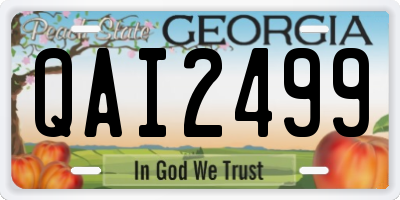 GA license plate QAI2499