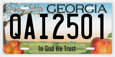 GA license plate QAI2501