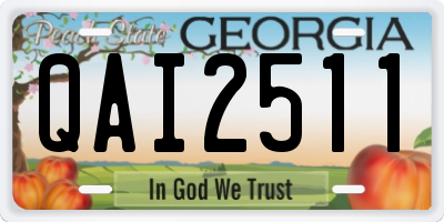 GA license plate QAI2511
