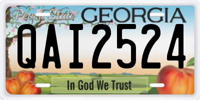 GA license plate QAI2524
